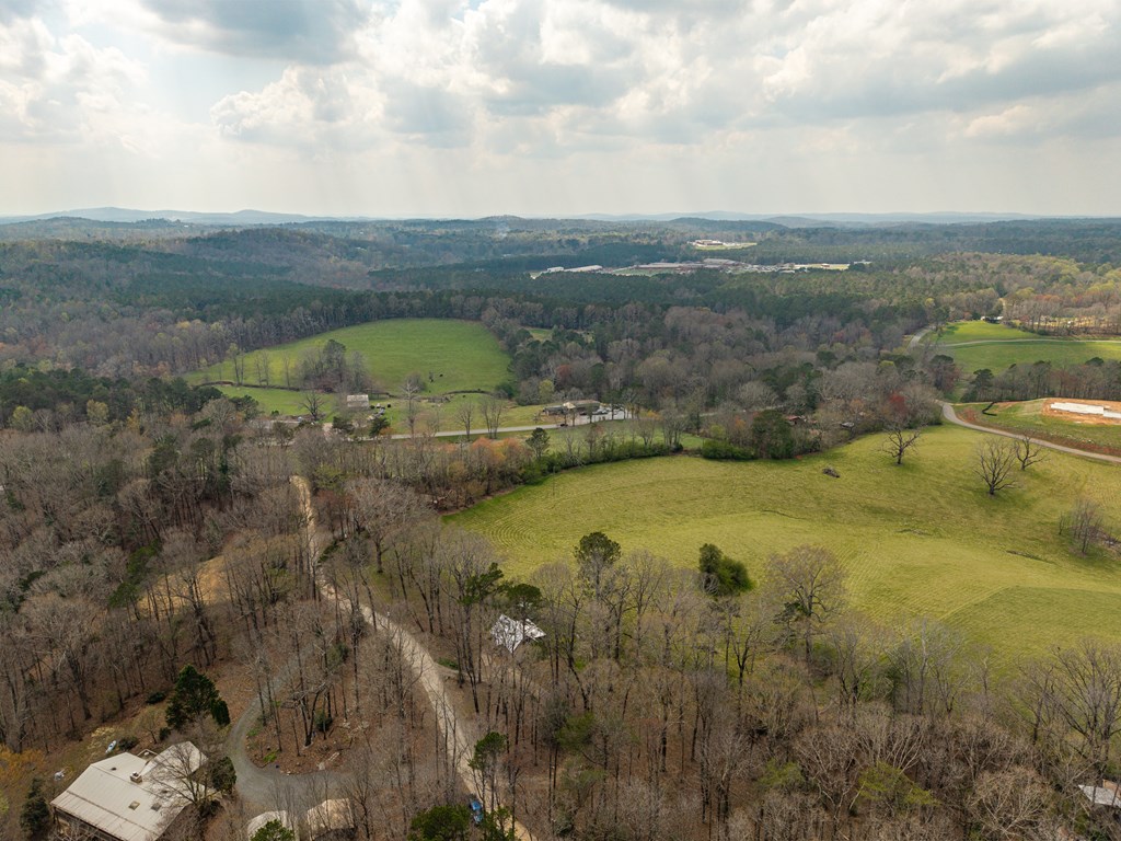 195 Wise Acres Road Ellijay, GA 30536 - Photo 41 of 43 Gallery Image 41