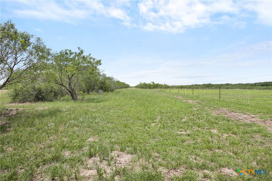 1190 Dickerson Road Lockhart, TX 78644 - Photo 16 of 40