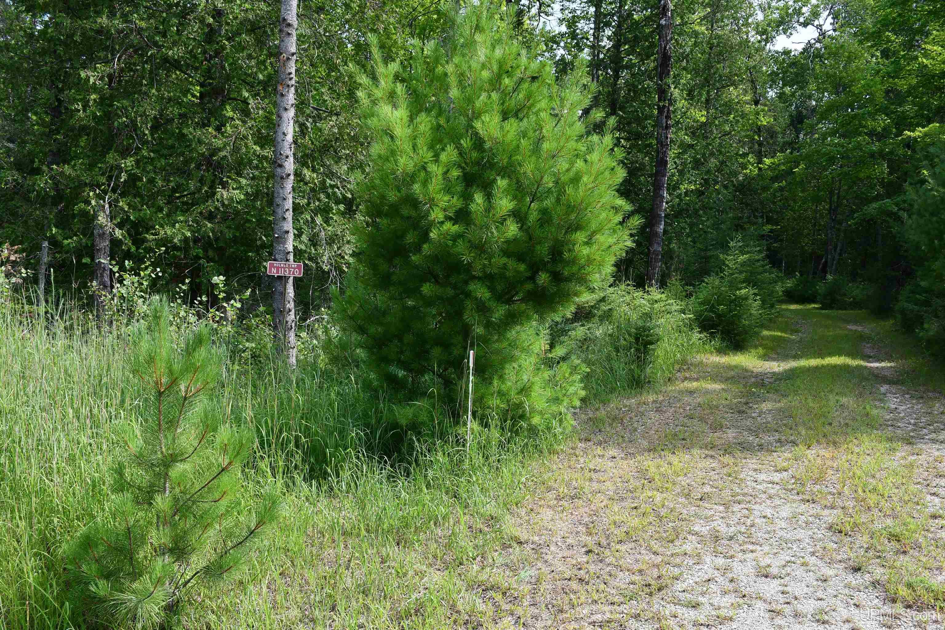 N11370 Cr 577 Road Daggett, MI 49821 - Photo 20 of 38