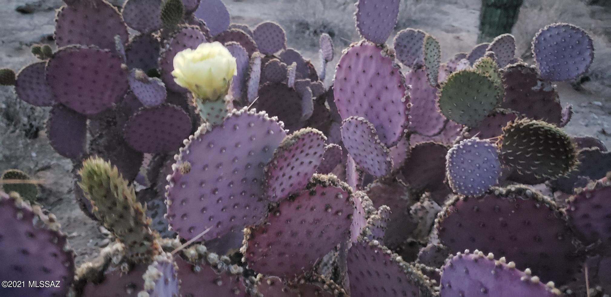 0 South Galena Road Marana, AZ 85658 - Photo 1 of 7
