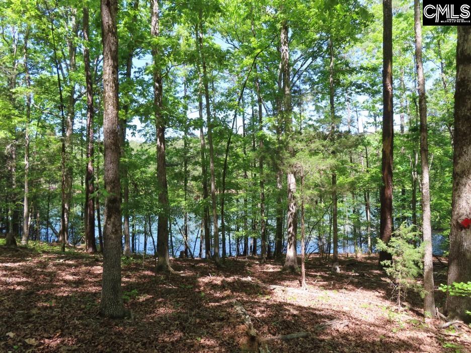 201 State Rd S-20-99 Blair, SC 29015 - Photo 34 of 61