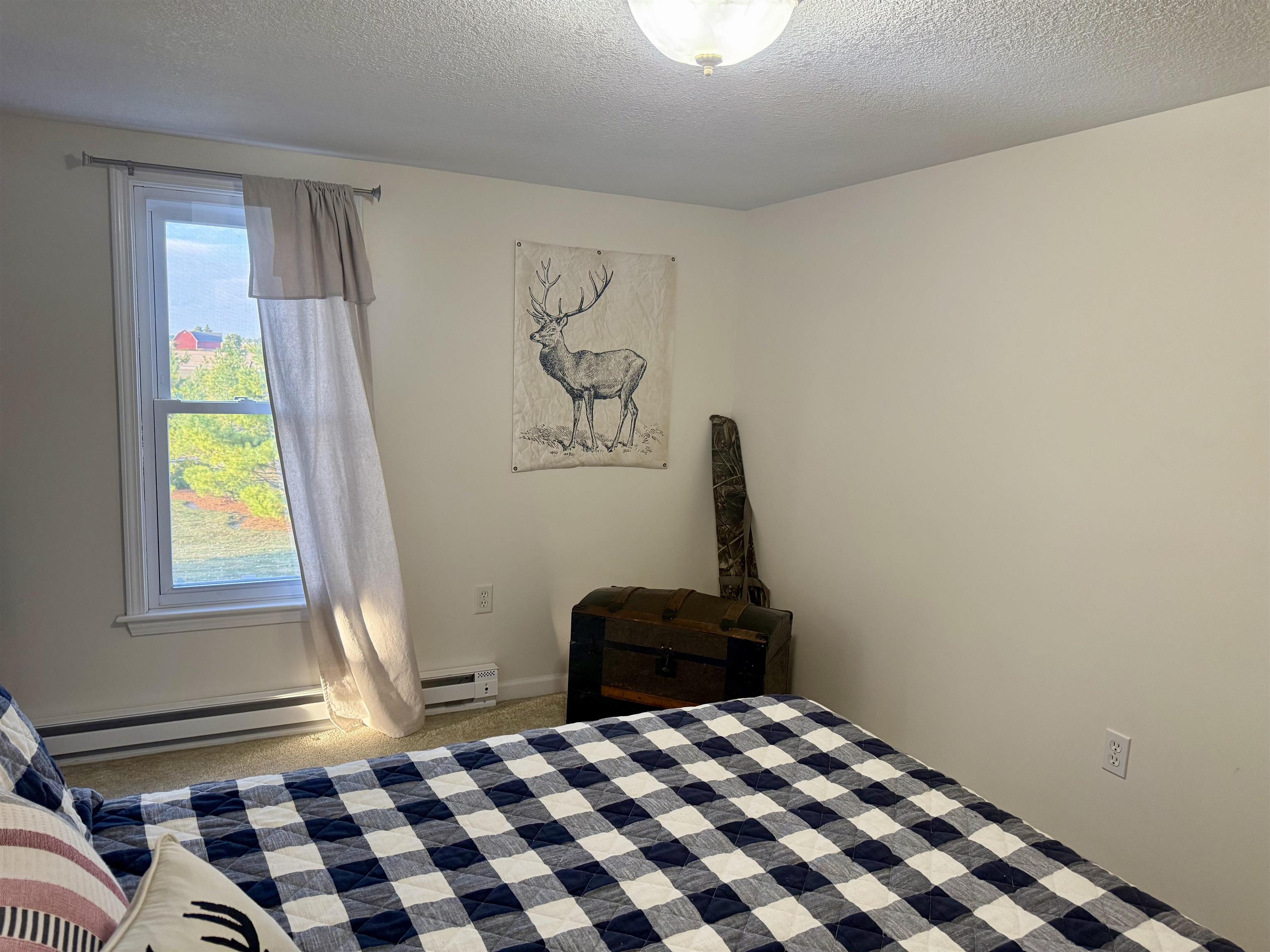 4651 South Begole Road Ithaca, MI 48847 - Photo 37 of 73
