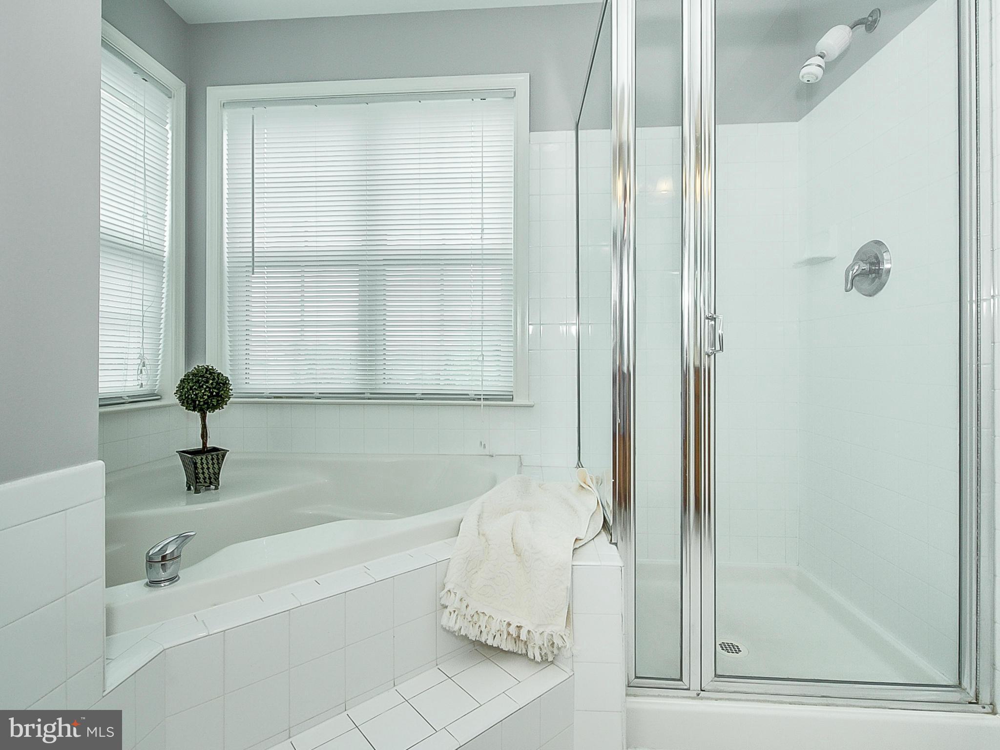 2615 Monocacy Ford Road Frederick, MD 21701 - Photo 21 of 30 Bath (Master)