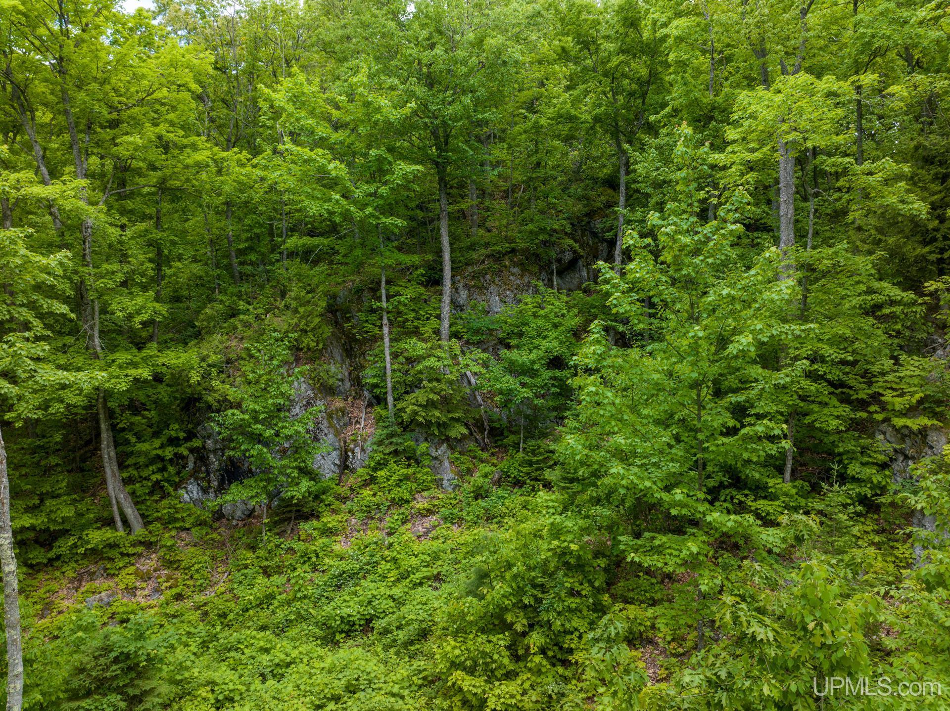 Tbd Tbd Co Road Negaunee, MI 49866 - Photo 5 of 47