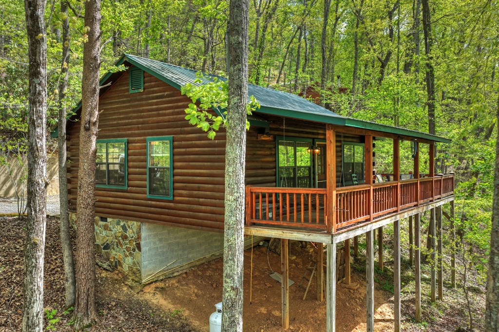 660 Ripshin Mountain Road Blue Ridge, GA 30513 - Photo 36 of 40
