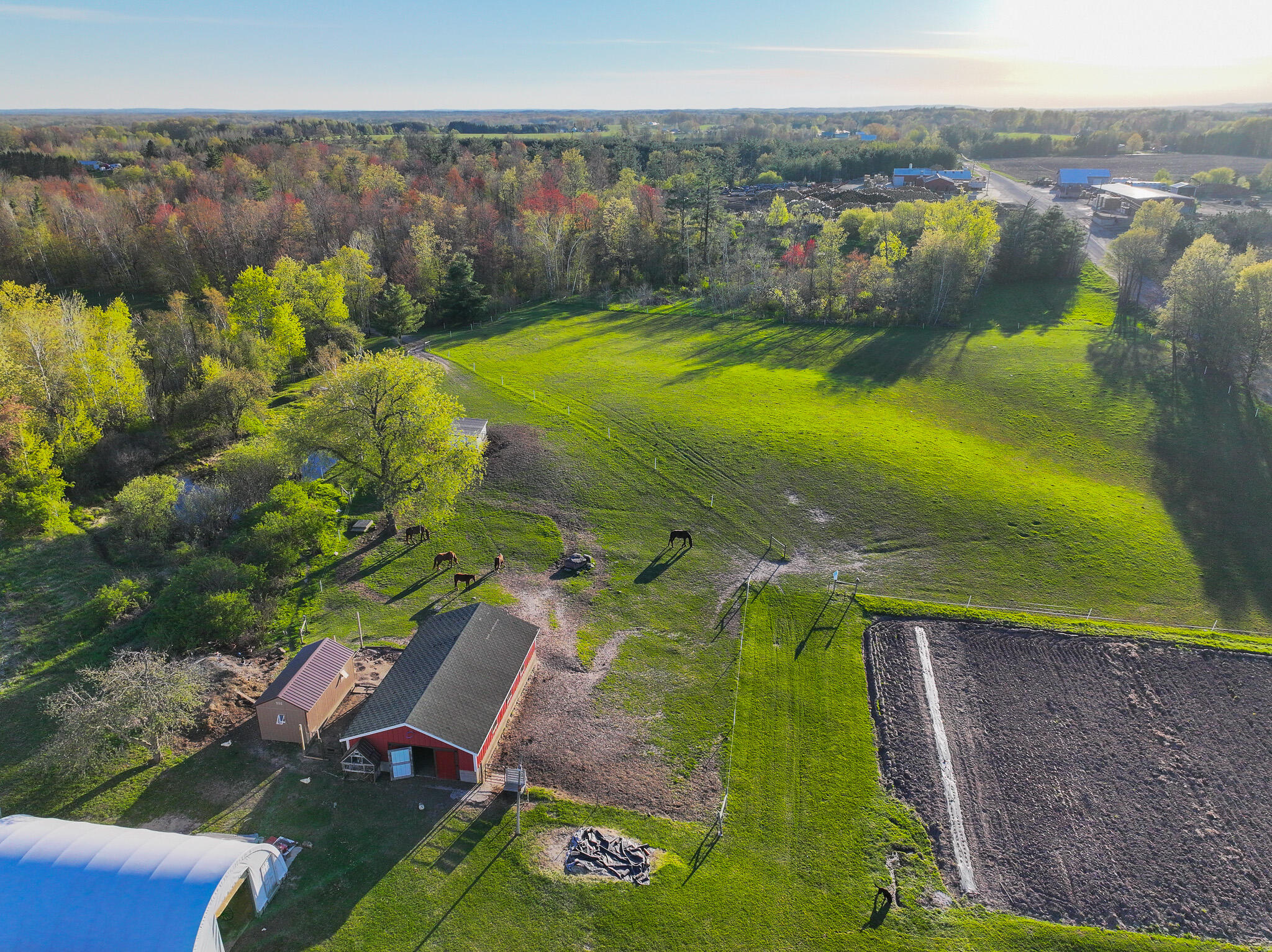 17463 Sunrise Lake Road Leroy, MI 49655 - Photo 39 of 62 DJI_20260504201806_0457_D