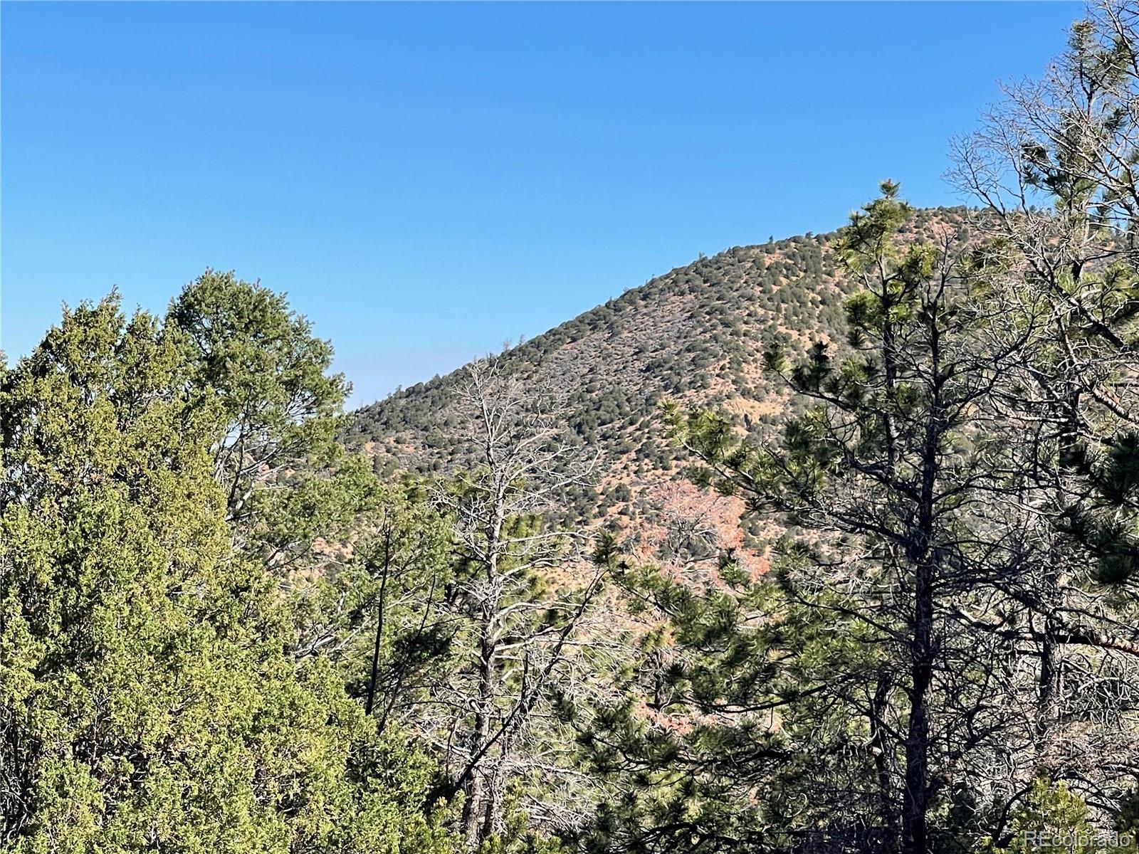 6168 Hoadley Road San Luis, CO 81152 - Photo 15 of 18