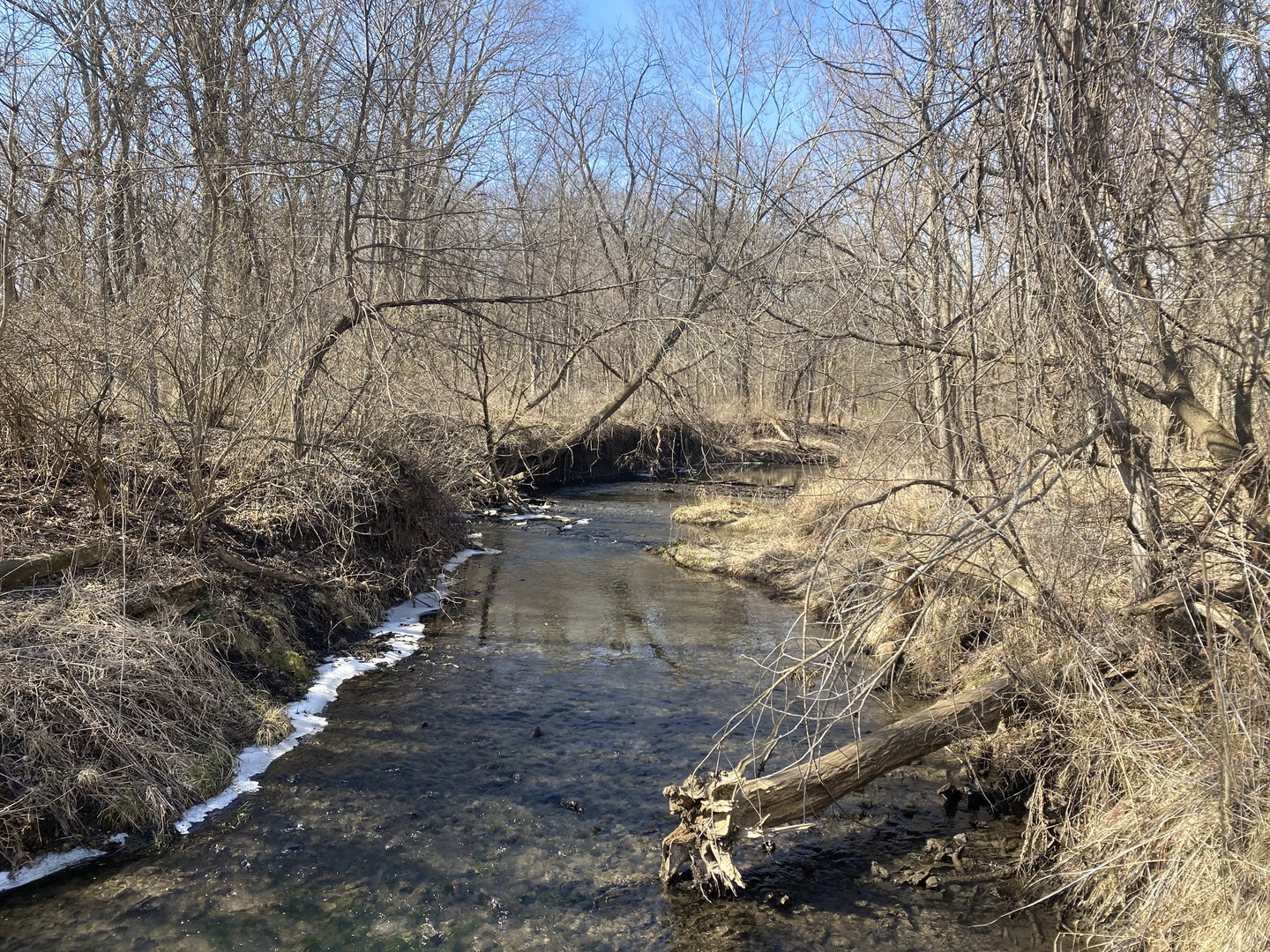 21097 Lincoln Road Sterling, IL 61081 - Photo 53 of 66
