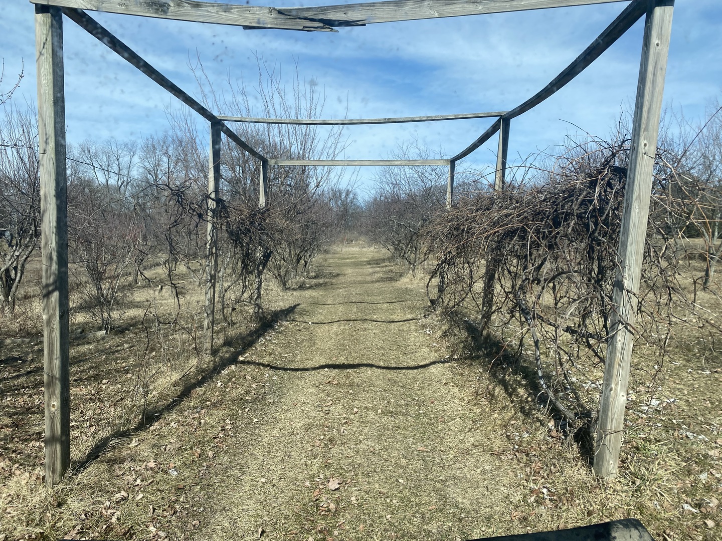 21097 Lincoln Road Sterling, IL 61081 - Photo 55 of 66