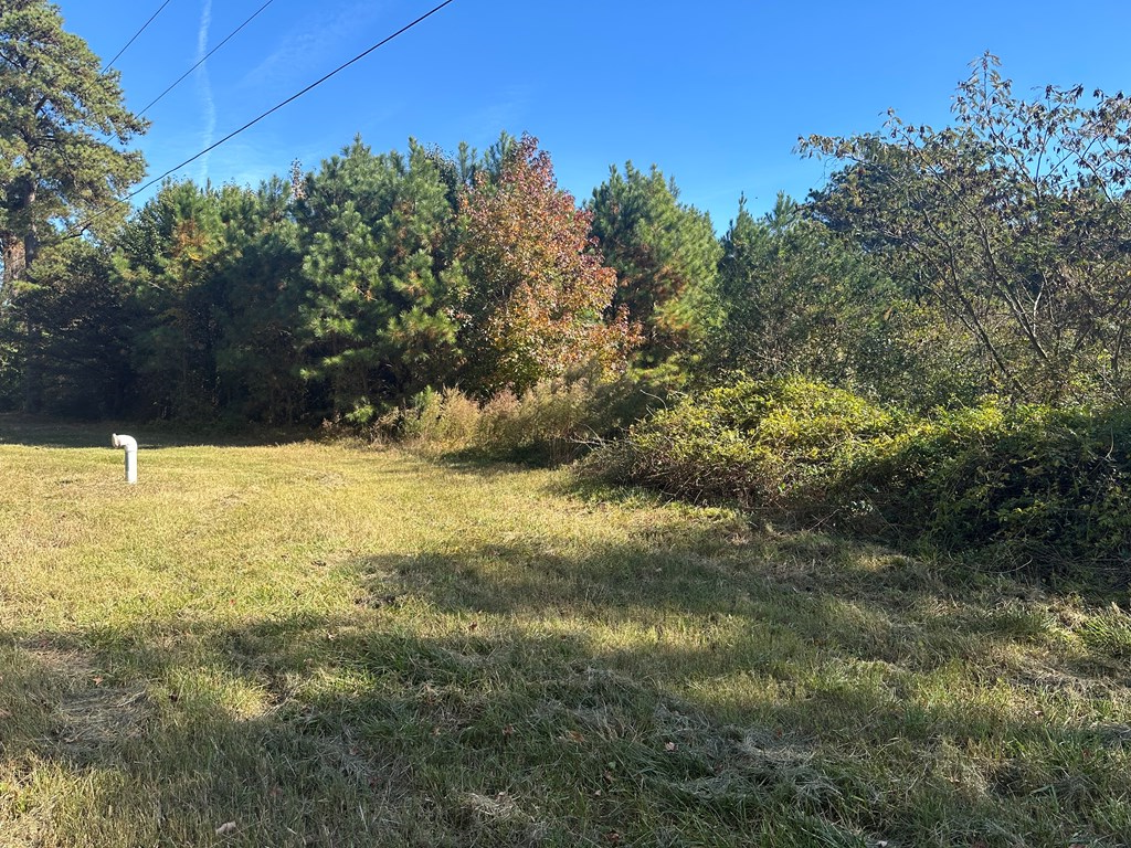 Lot 131 Metompkin Road, Unit 131 Parksley, VA 23421 - Photo 10 of 12
