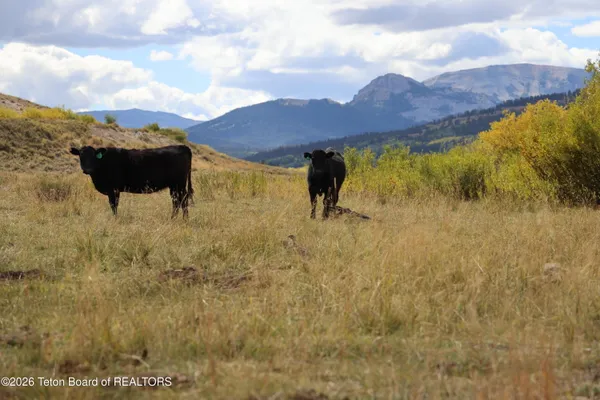 $3,900,000 | 618 North Cottonwood Road, Big Piney, WY 83113