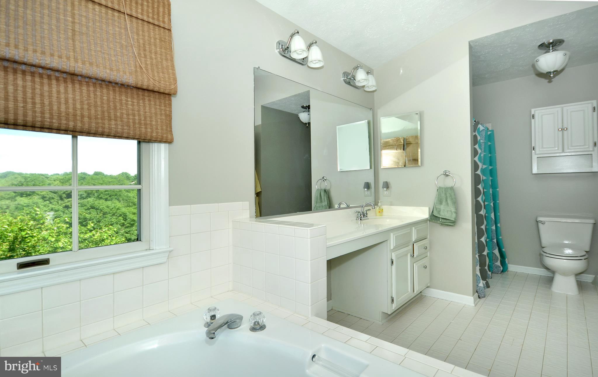 418 East Ring Factory Road Bel Air, MD 21014 - Photo 16 of 25 Master bath