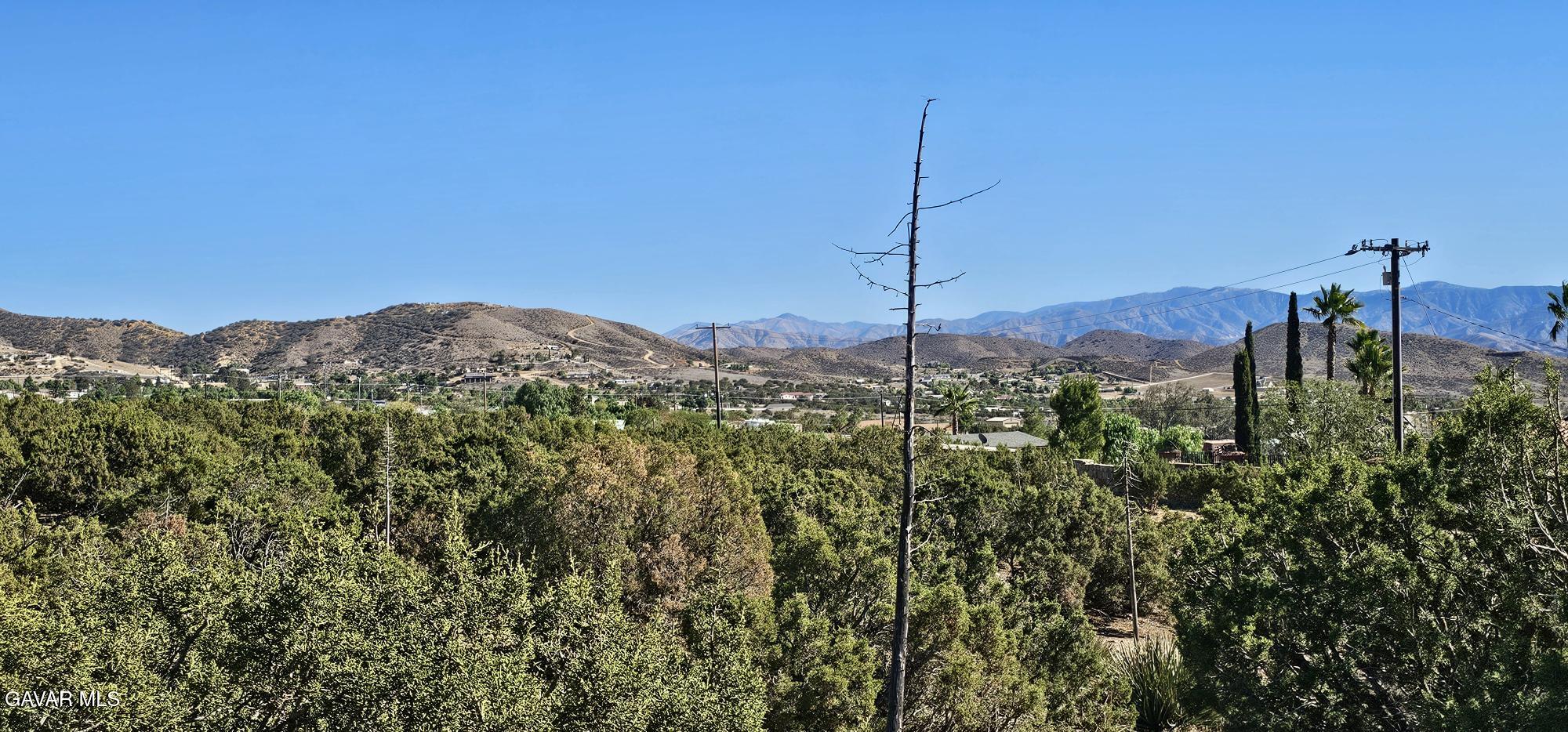 a view of a city with a tree in the background