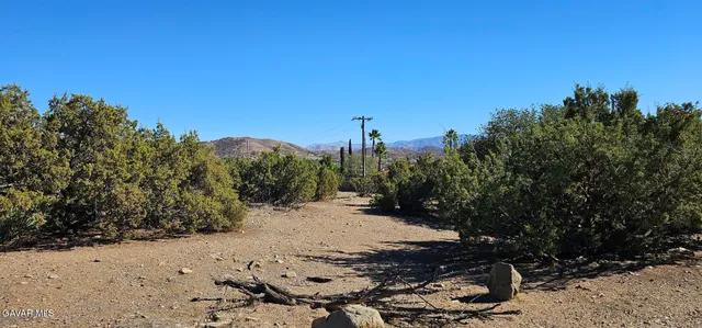 a view of a dirt road with trees