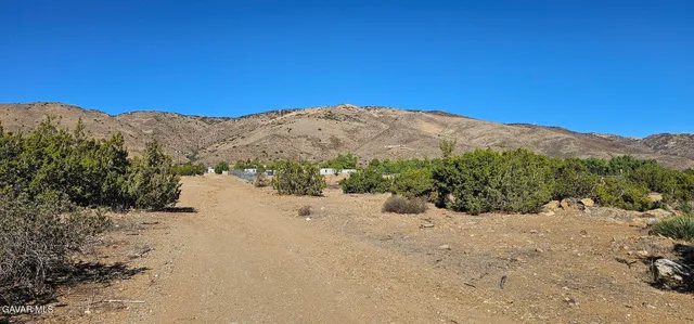a view of a dry yard with mountains in the background