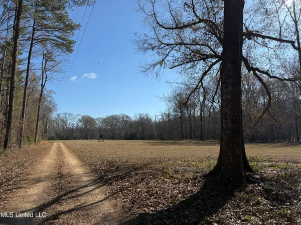$2,300,000 | 114 Huff Lane, Roxie, MS 39661