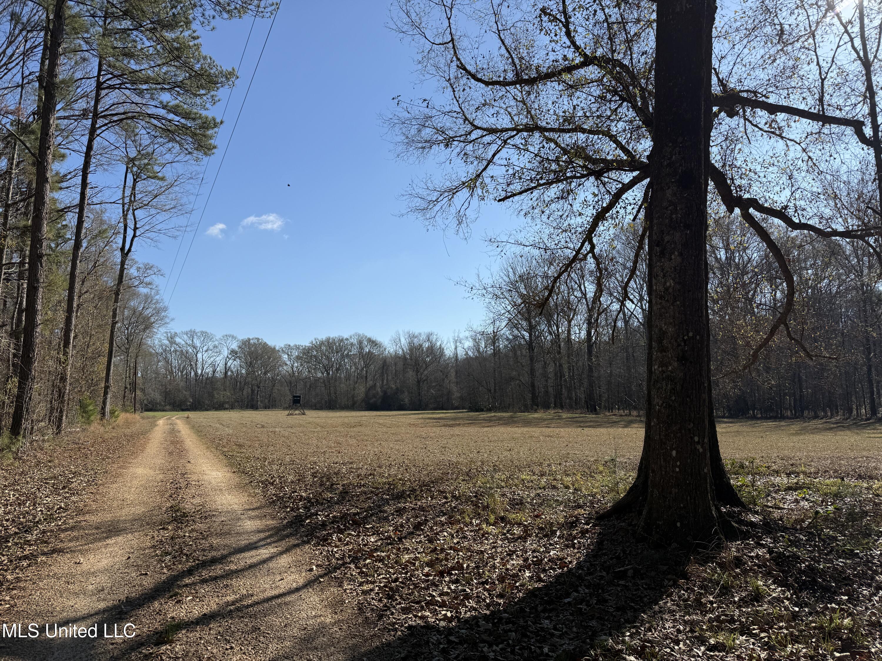 114 Huff Lane Roxie, MS 39661 - Photo 1 of 56 IMG_0391