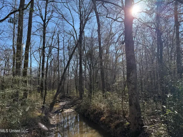 $2,300,000 | 114 Huff Lane, Roxie, MS 39661