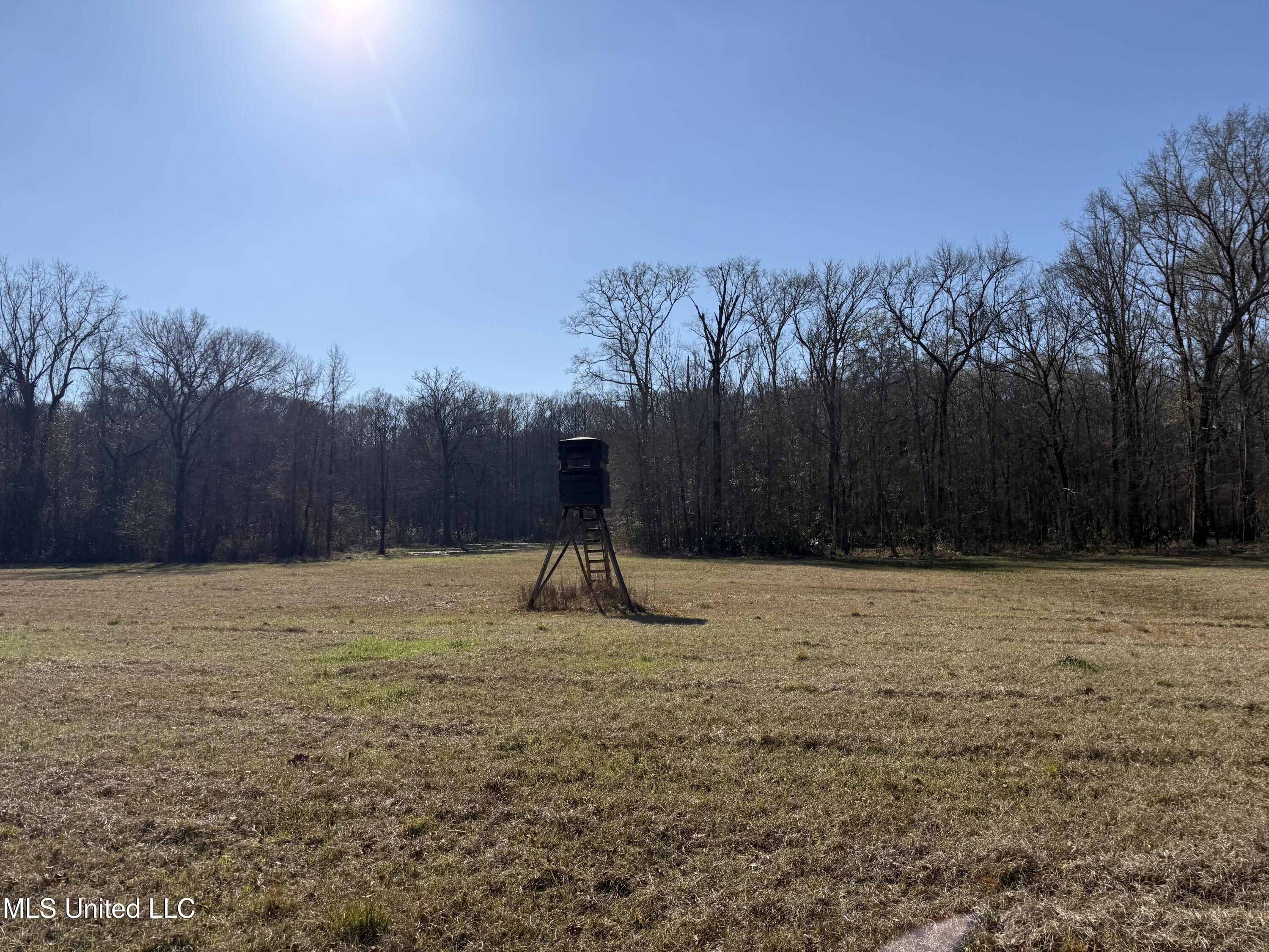 114 Huff Lane Roxie, MS 39661 - Photo 25 of 56 IMG_0393