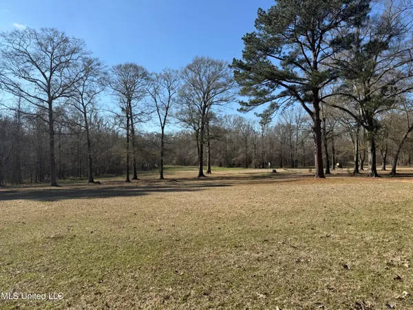 $2,300,000 | 114 Huff Lane, Roxie, MS 39661