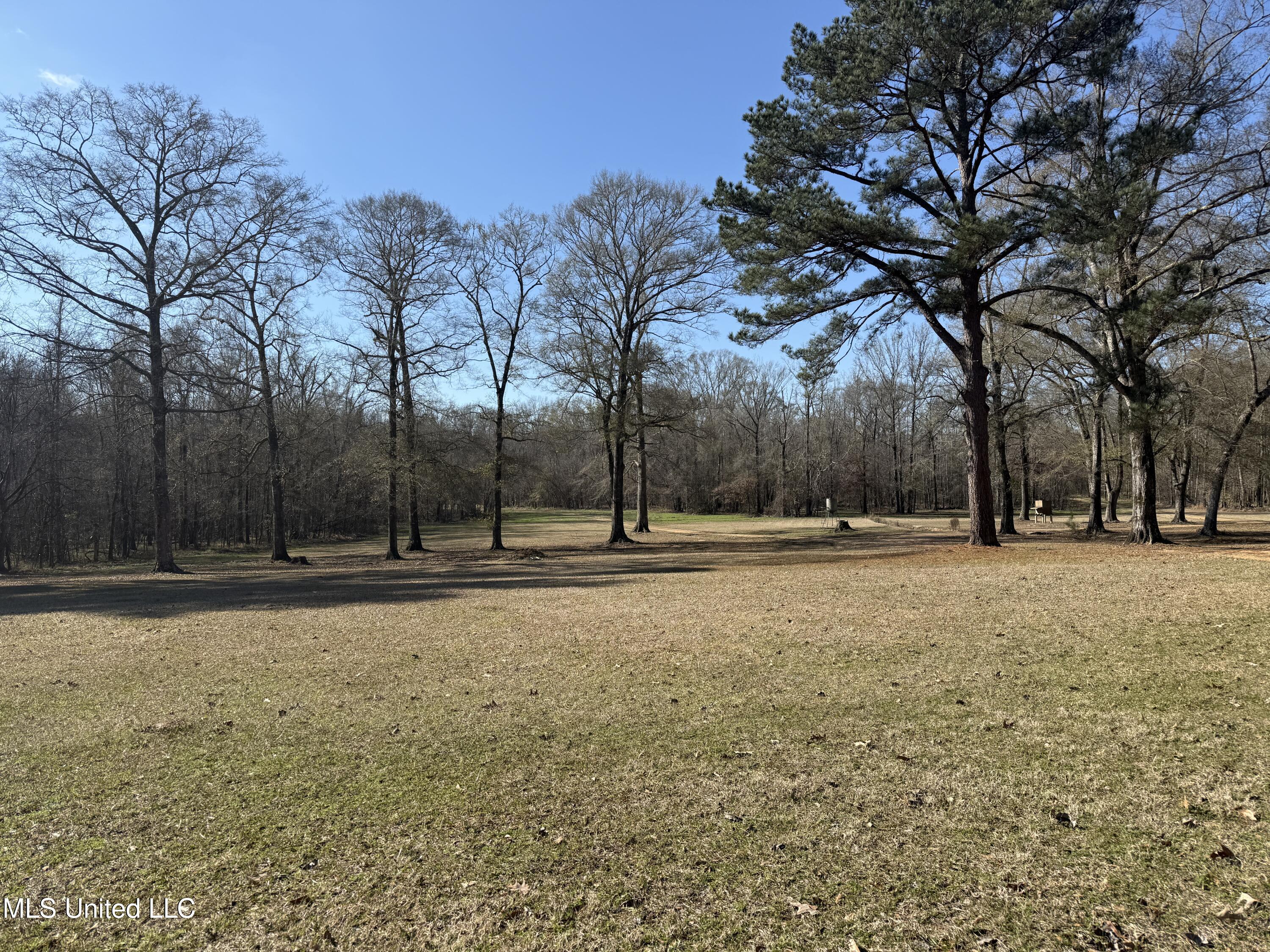 114 Huff Lane Roxie, MS 39661 - Photo 26 of 56 IMG_0426