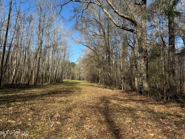 $2,300,000 | 114 Huff Lane, Roxie, MS 39661