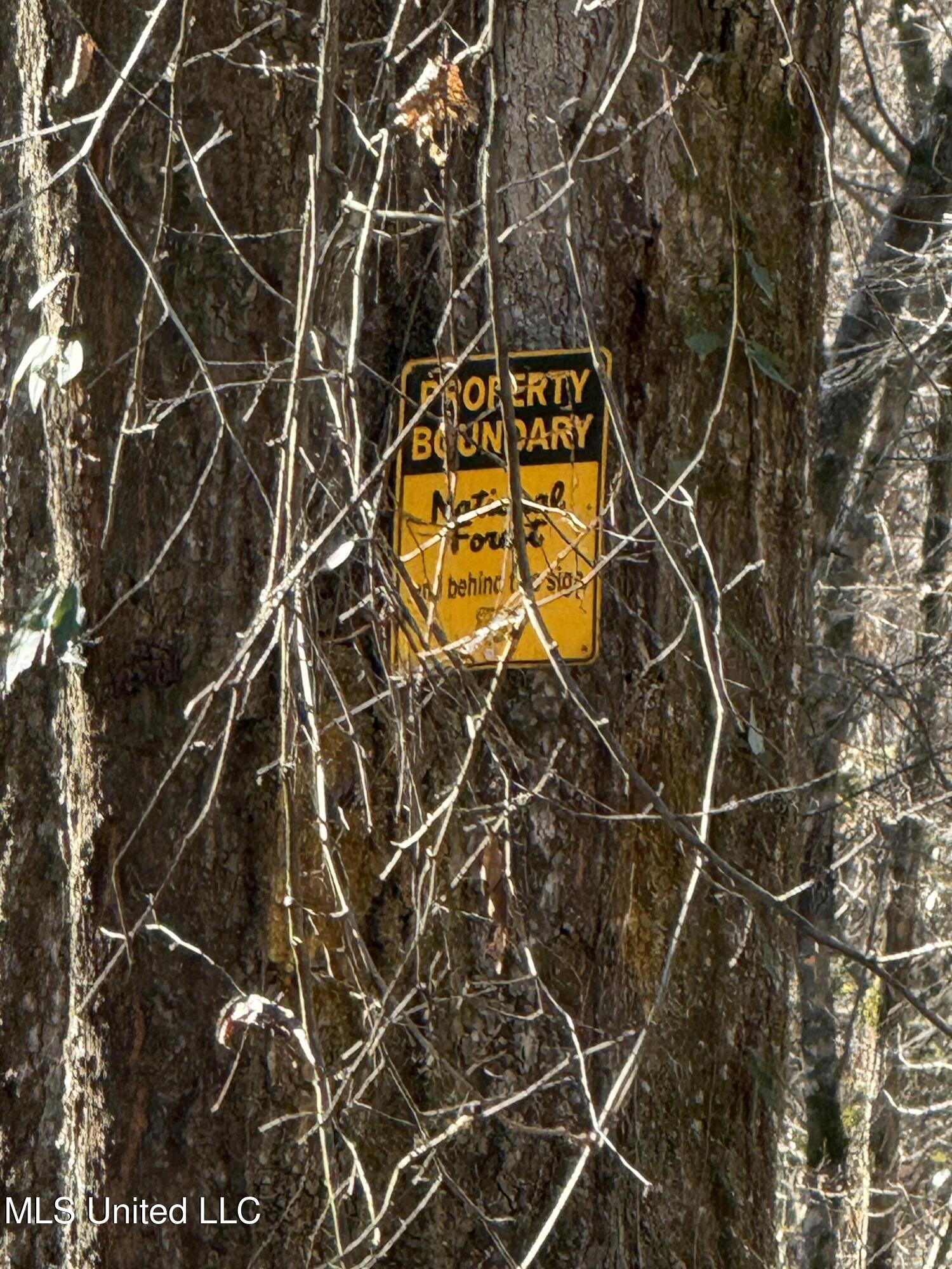 114 Huff Lane Roxie, MS 39661 - Photo 35 of 56 IMG_0462