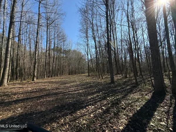 $2,300,000 | 114 Huff Lane, Roxie, MS 39661