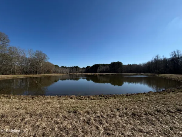 $2,300,000 | 114 Huff Lane, Roxie, MS 39661