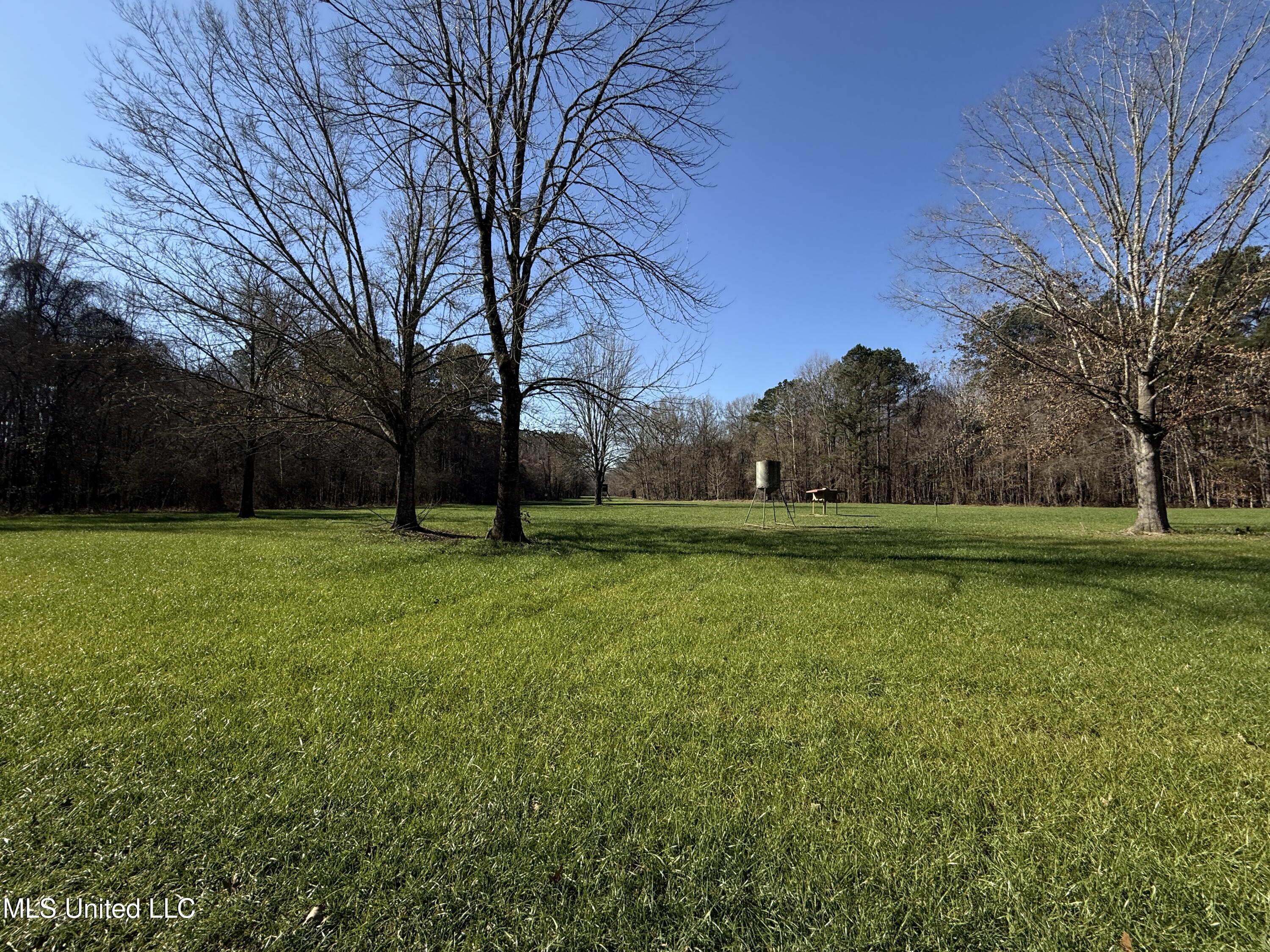 114 Huff Lane Roxie, MS 39661 - Photo 39 of 56 IMG_0449