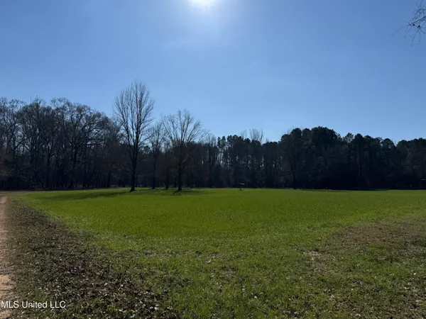 $2,300,000 | 114 Huff Lane, Roxie, MS 39661