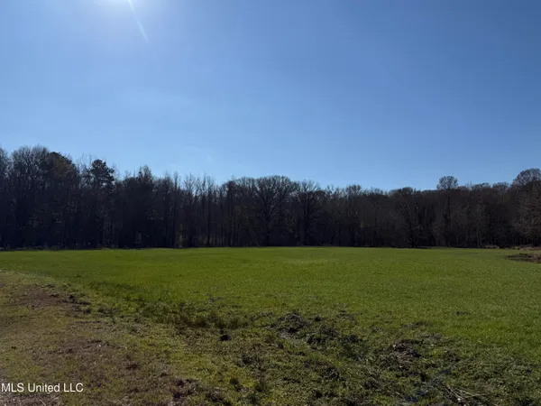 $2,300,000 | 114 Huff Lane, Roxie, MS 39661