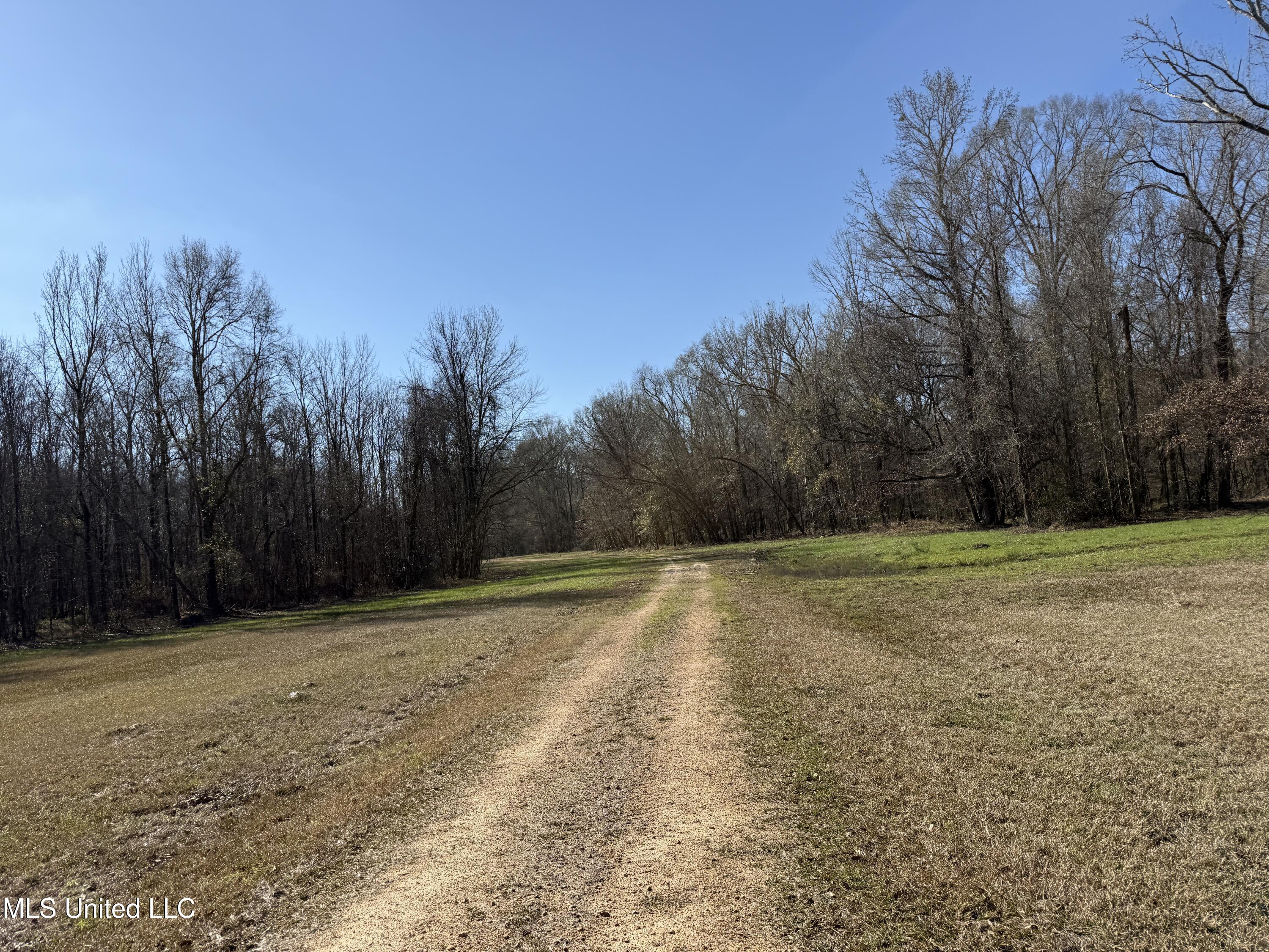 114 Huff Lane Roxie, MS 39661 - Photo 43 of 56 IMG_0441