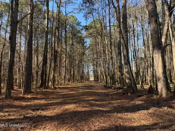 $2,300,000 | 114 Huff Lane, Roxie, MS 39661