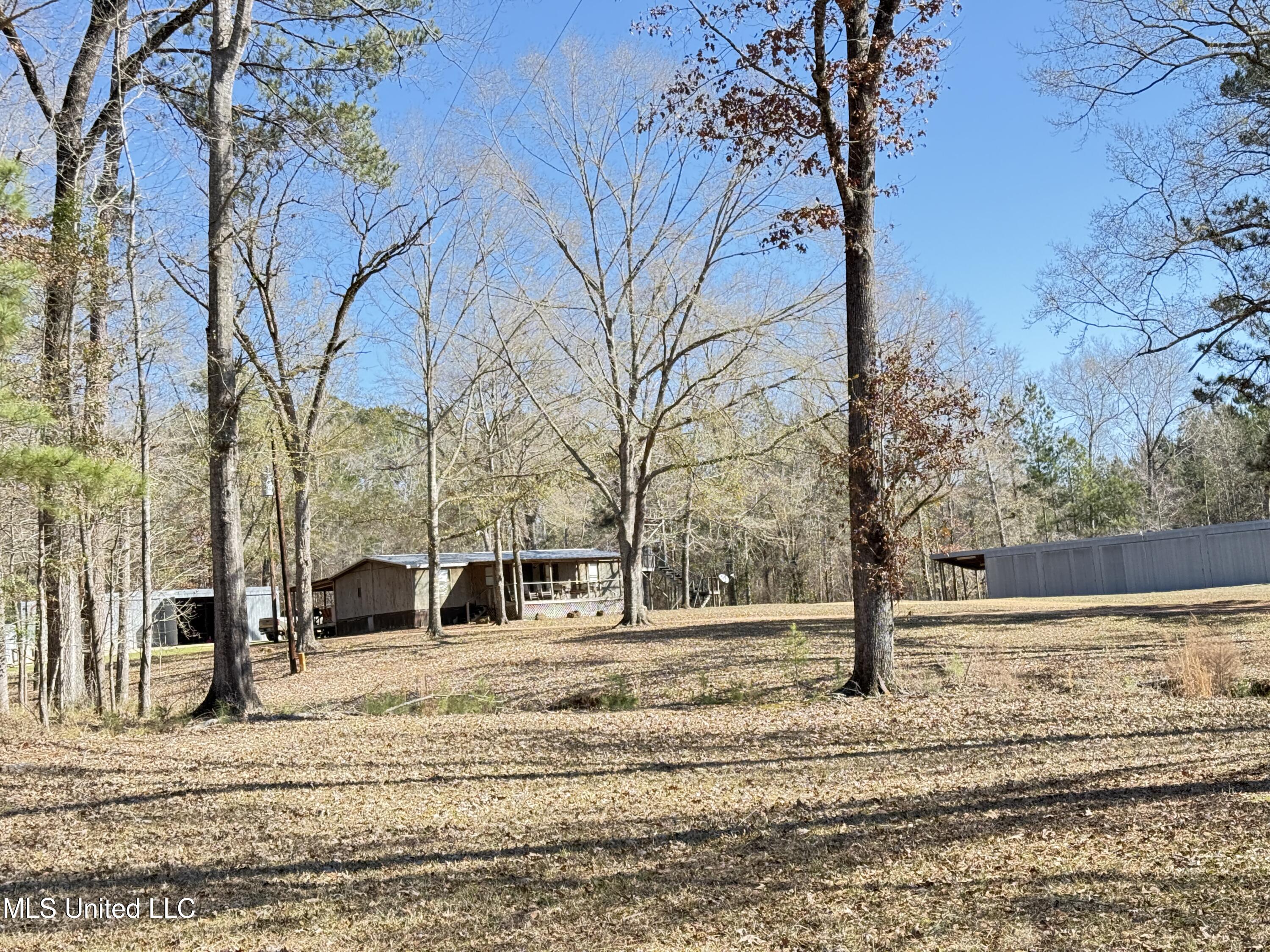 114 Huff Lane Roxie, MS 39661 - Photo 45 of 56 IMG_0521