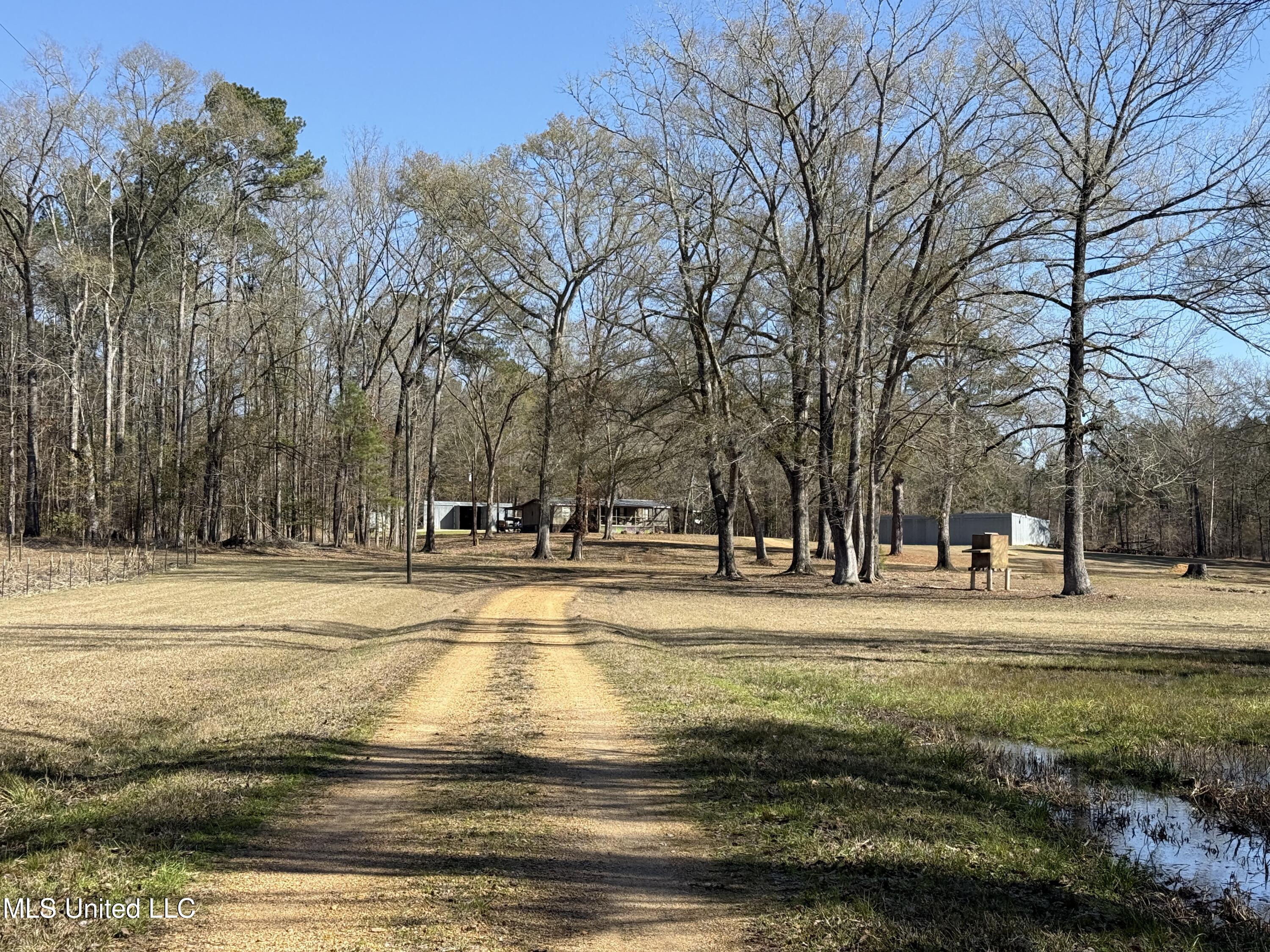 114 Huff Lane Roxie, MS 39661 - Photo 46 of 56 IMG_0520