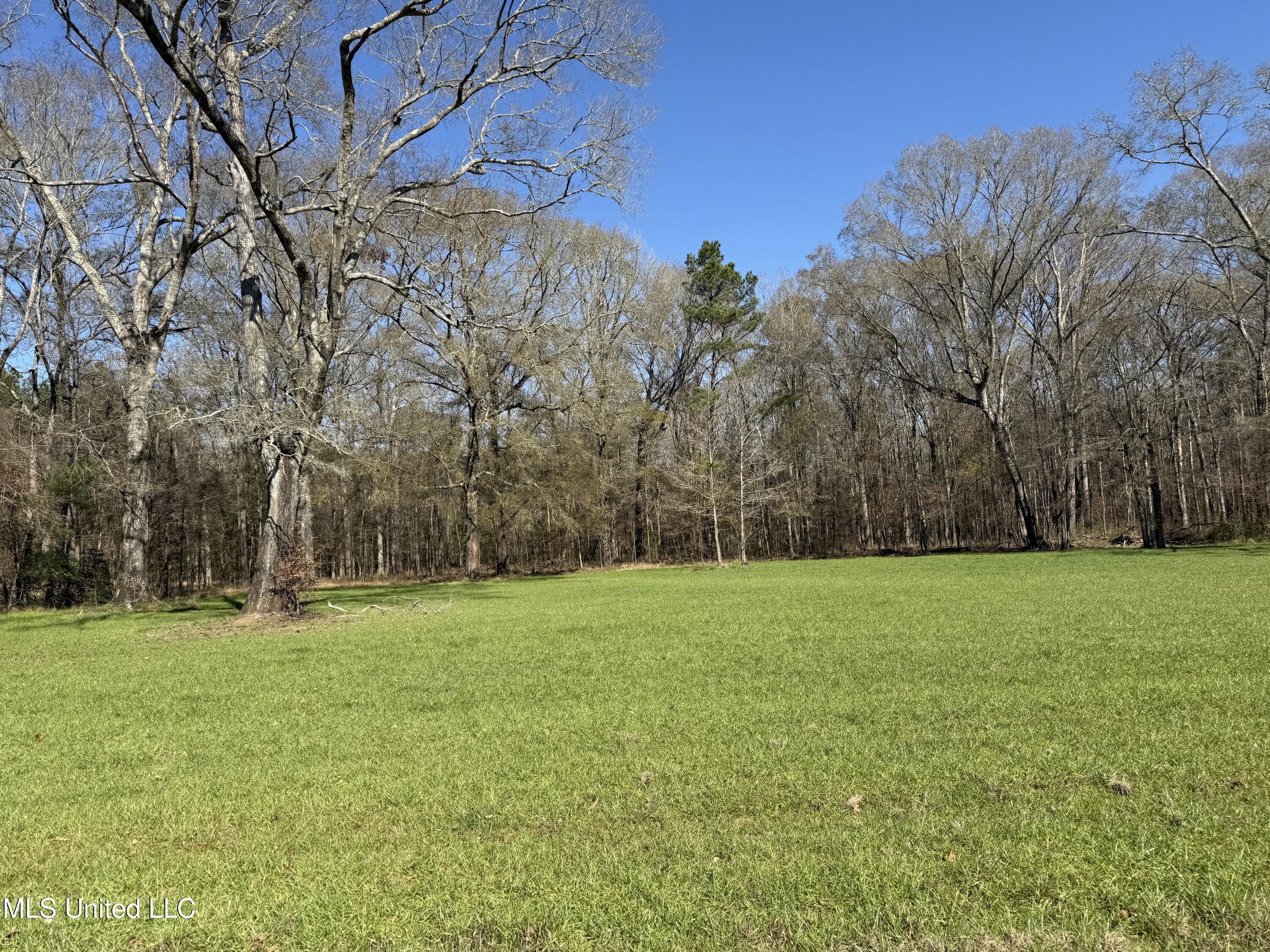 114 Huff Lane Roxie, MS 39661 - Photo 50 of 56 IMG_0502