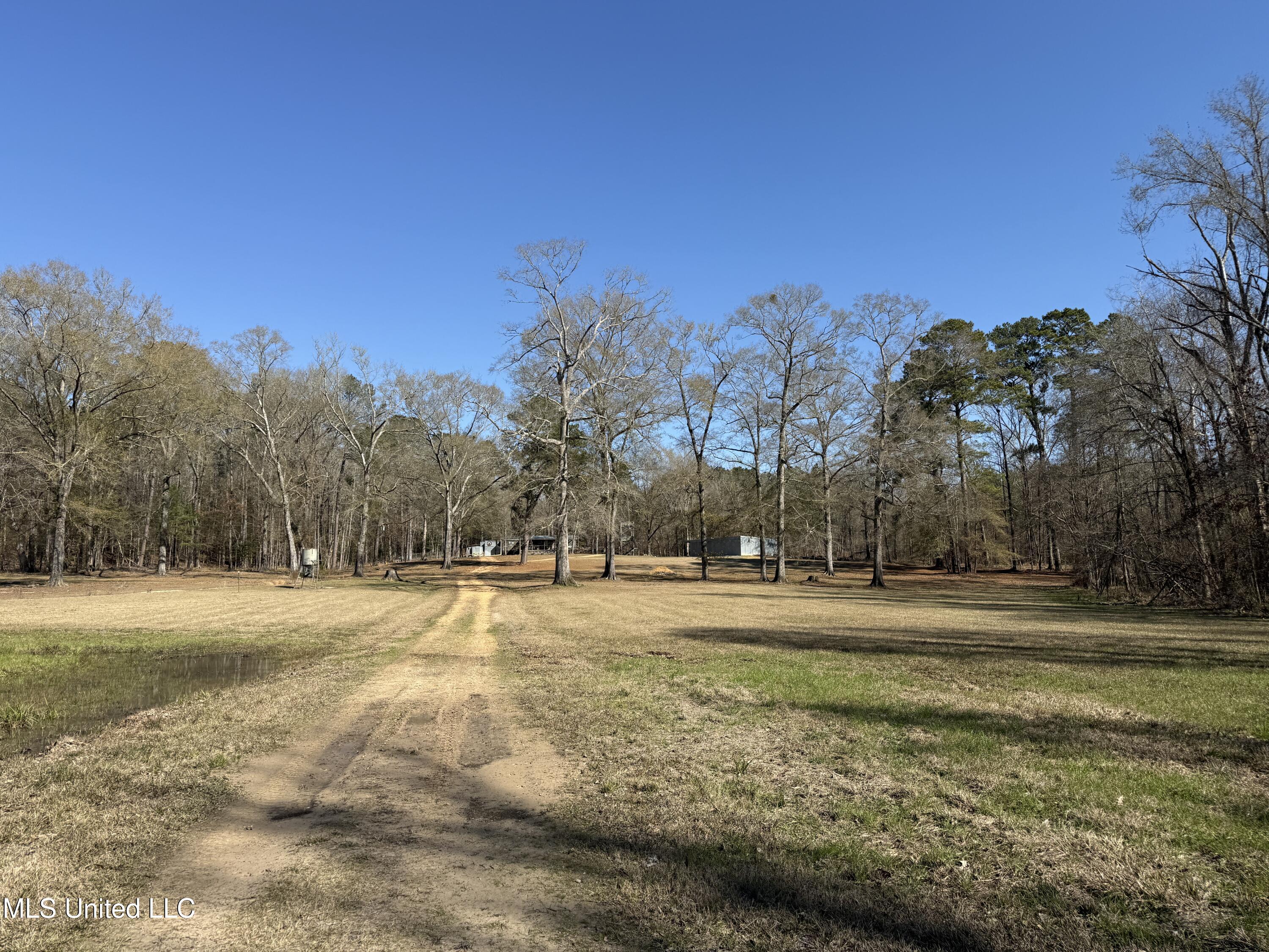 114 Huff Lane Roxie, MS 39661 - Photo 51 of 56 IMG_0496
