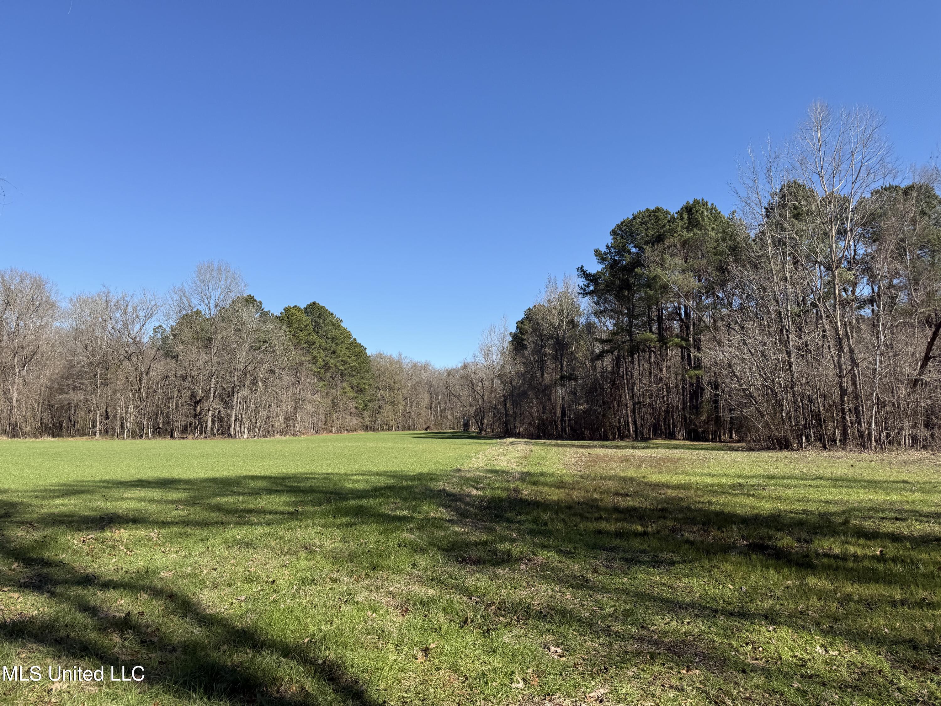 114 Huff Lane Roxie, MS 39661 - Photo 52 of 56 IMG_0494