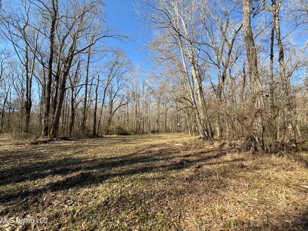 $2,300,000 | 114 Huff Lane, Roxie, MS 39661
