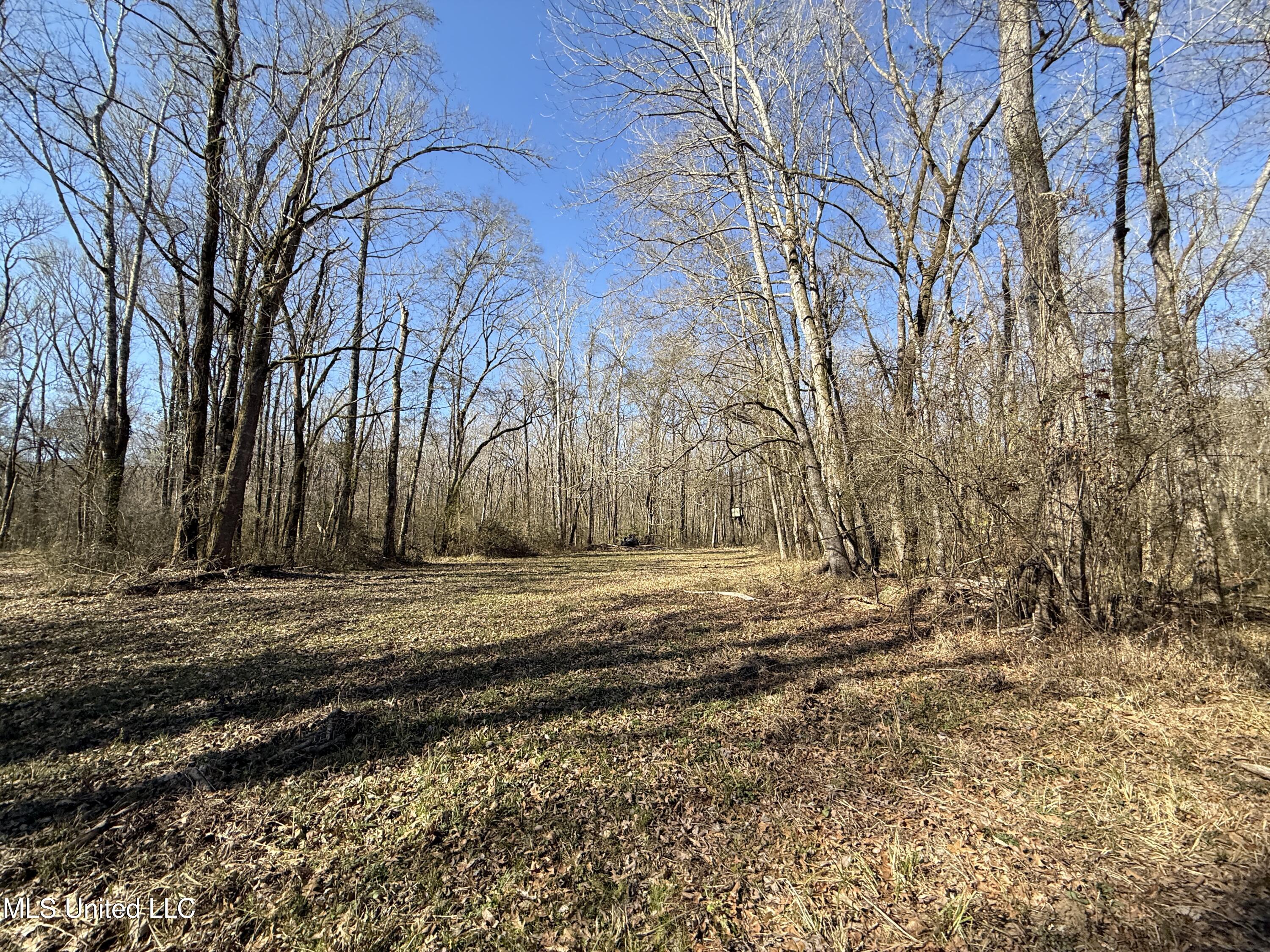 114 Huff Lane Roxie, MS 39661 - Photo 54 of 56 IMG_0489