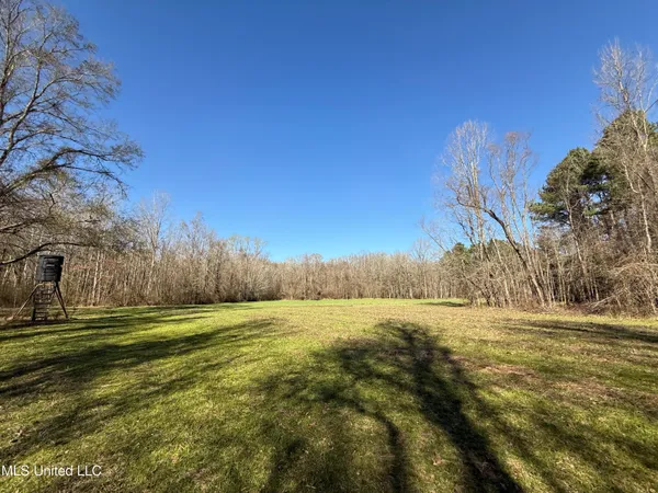 $2,300,000 | 114 Huff Lane, Roxie, MS 39661