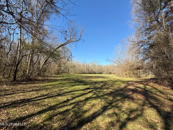 $2,300,000 | 114 Huff Lane, Roxie, MS 39661