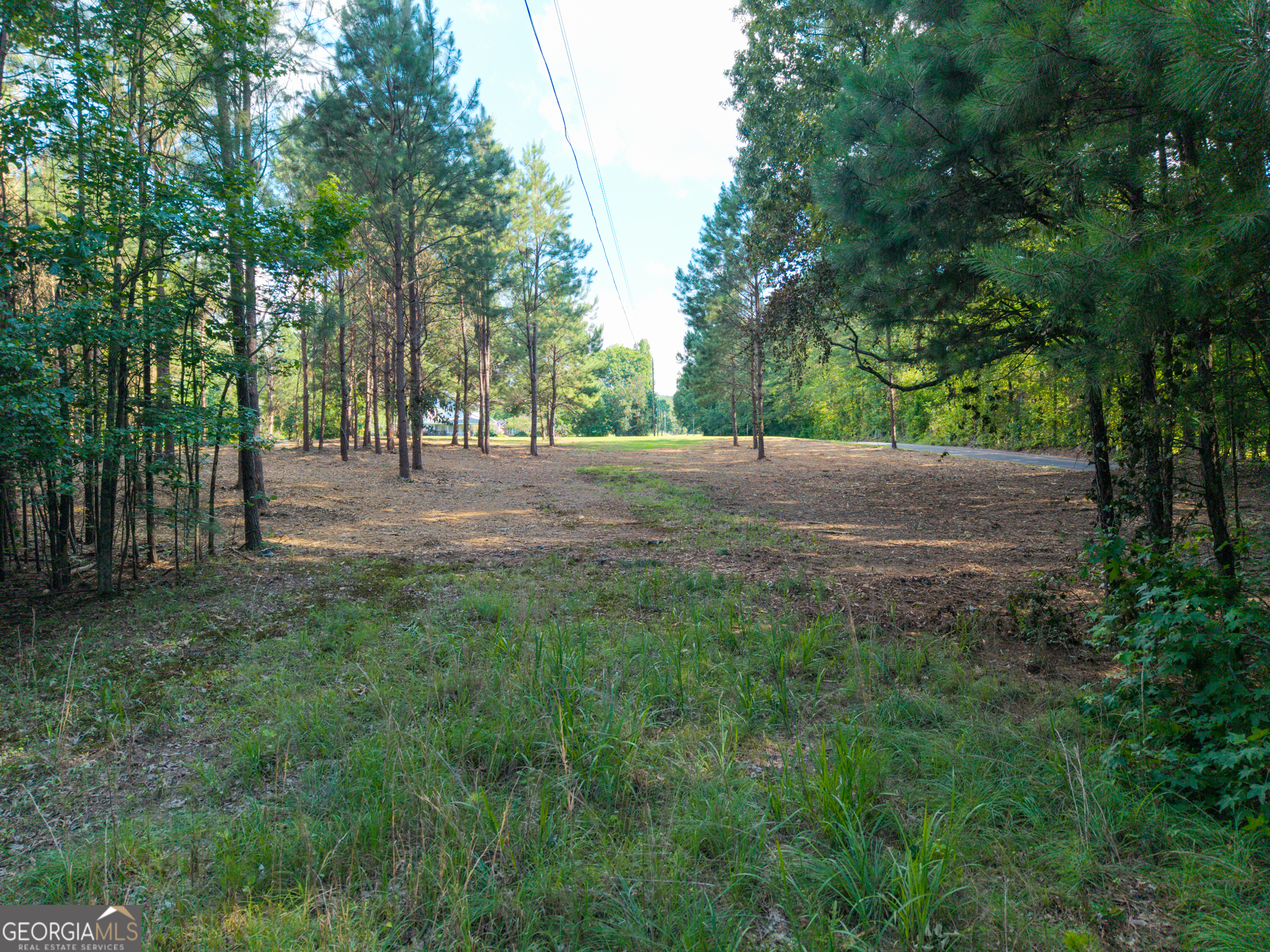 0 Hair Lake Road Summerville, GA 30747 - Photo 21 of 28