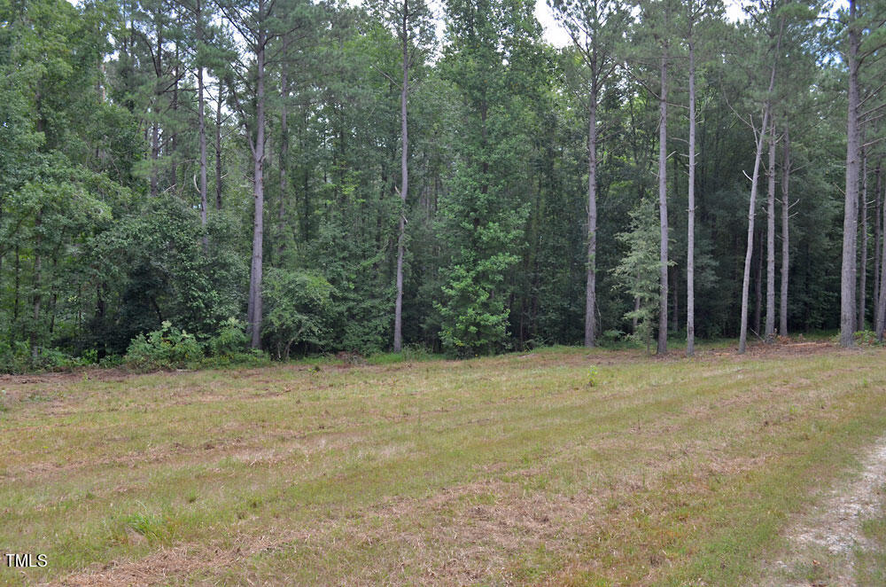 6308 Lancaster Store Road Spring Hope, NC 27882 - Photo 41 of 48 41
