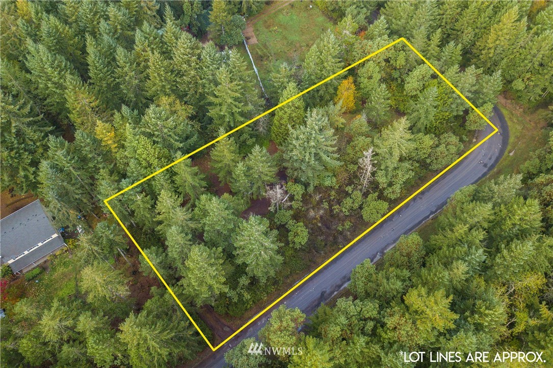 26 Webb Road Southwest Lakebay, WA 98349 - Photo 23 of 31 a view of a forest from a balcony