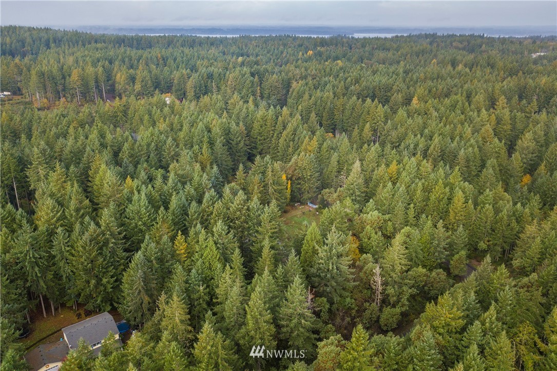 26 Webb Road Southwest Lakebay, WA 98349 - Photo 24 of 31 a view of a lush green forest with lush green forest