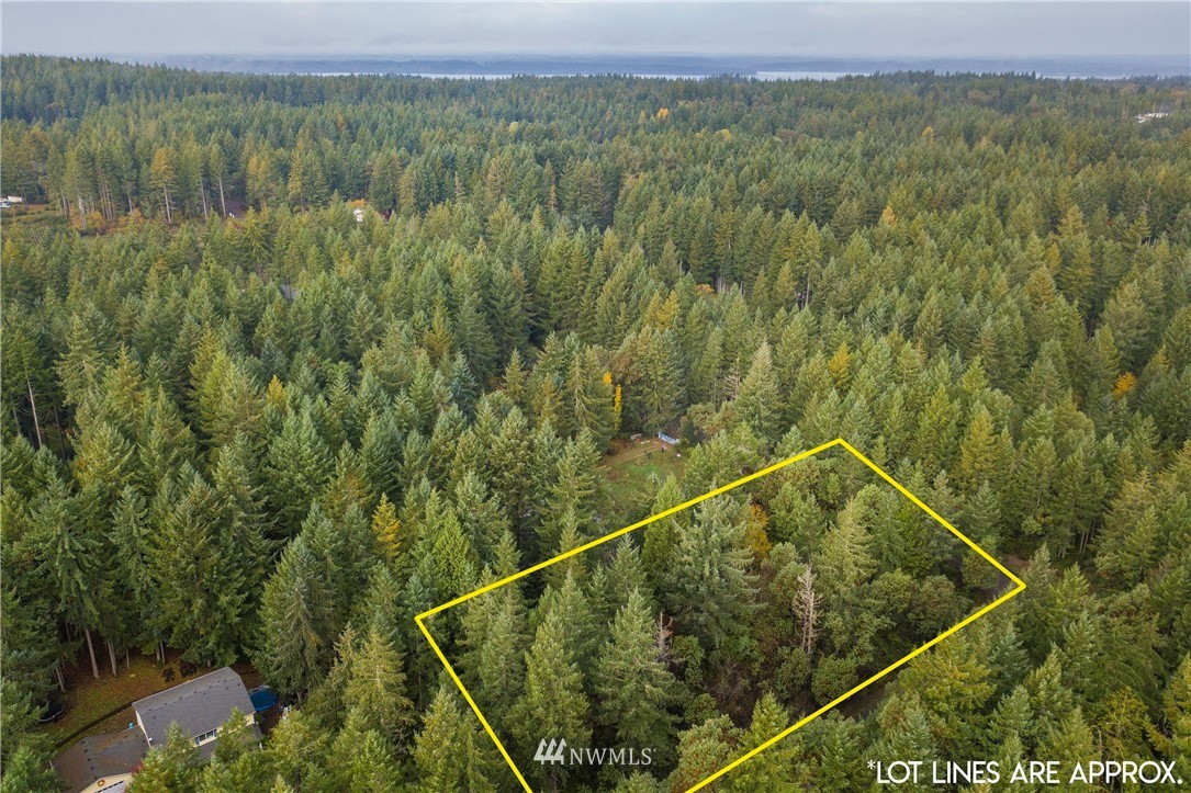 26 Webb Road Southwest Lakebay, WA 98349 - Photo 25 of 31 a view of a forest