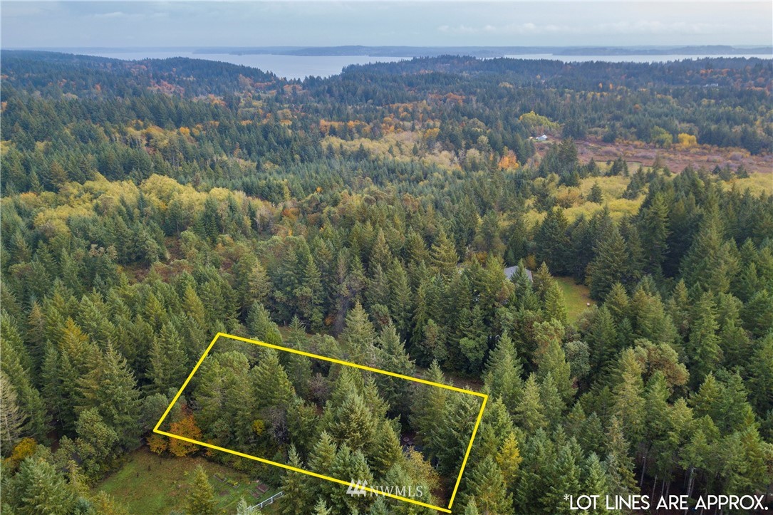 26 Webb Road Southwest Lakebay, WA 98349 - Photo 28 of 31 a view of a city with lush green forest