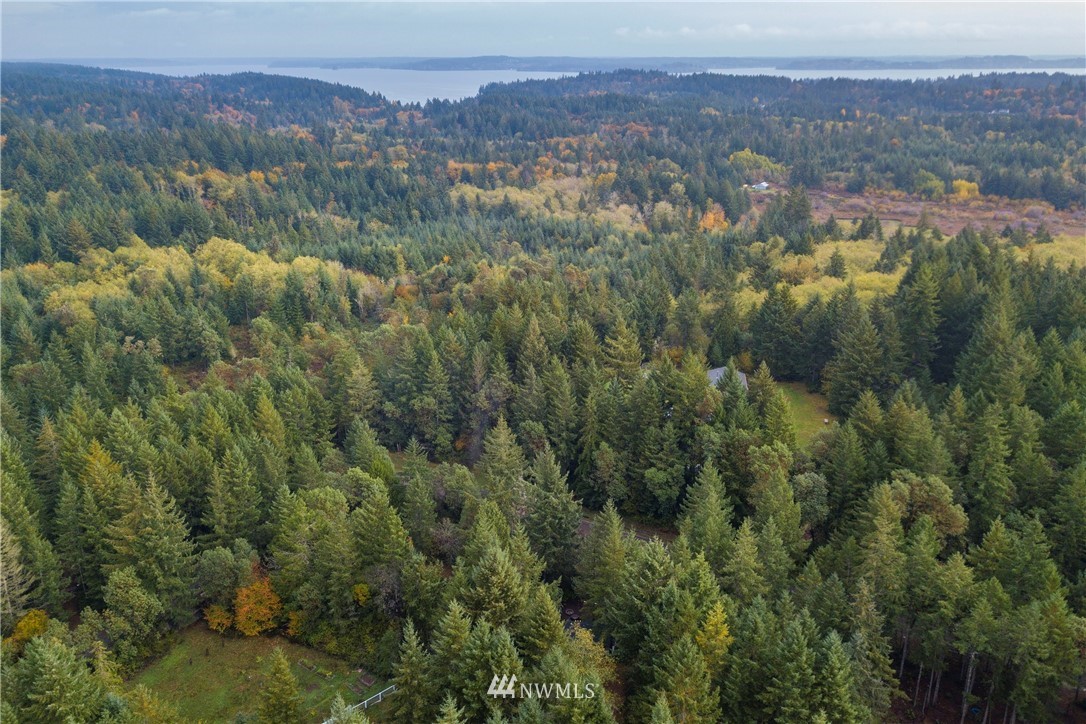26 Webb Road Southwest Lakebay, WA 98349 - Photo 31 of 31 an aerial view of residential house and green space